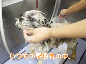 ☆１年生のトリミング実習☆